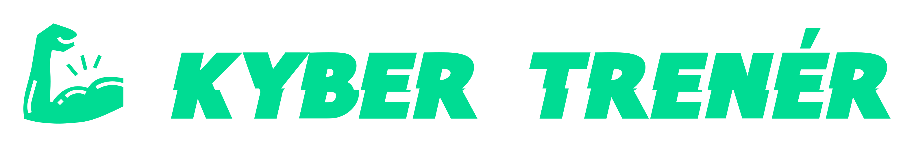Kyber Trenér